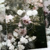 "Elegant Vintage Moody Floral Vellum Wrap" - Invitation Jackets and Overlays in multicolor by Eva Friesen