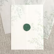 "Delicate greenery vellum wrap for invitations | Set of 10" - Invitation Jackets and Overlays in green by Maria Ferrer G.