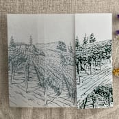 "Forest green vineyard landscape sketch printed vellum wrap for 5x7 card | pack of 10" - Invitation Jackets and Overlays in green by Ivory Invitations