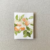 "Oranges Vellum Jacket for Wedding Invitations | For Petite 4.25x6" Invitations | Set of 10" - Invitation Jackets and Overlays in orange by Cotton and Bow