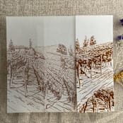 "Brown vineyard landscape sketch printed vellum wrap for 5x7 card | pack of 10" - Invitation Jackets and Overlays in brown by Ivory Invitations