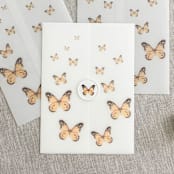"Monarch butterfly vellum wrap for invitations | Set of 10" - Invitation Jackets and Overlays in multicolorassorted-colors by Maria Ferrer G.