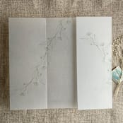"Jessica minimalist sage envelope vellum wraps for 5x7 card | pack of 10" - Invitation Jackets and Overlays in green by Ivory Invitations
