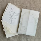 "Jessica minimalist sage envelope vellum wraps for 5x7 card | pack of 10" - Invitation Jackets and Overlays in green by Ivory Invitations