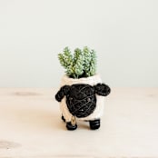 "Baby Sheep Planter" - Planters in white by LIKHA