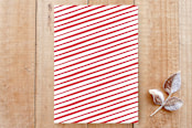 "A Merry Script" - Stationery in Candy Cane by GeekInk Design - Back of Card