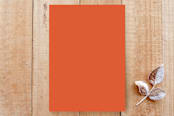 "script thanksgiving" - Stationery in white by Ramoncita - aticnomar - Back of Card