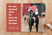 "Santa Paws" - Stationery in jolly by Shannon - Front