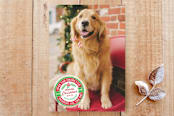 "Over the Hills Dashing all the Way" - Stationery in candy cane by Shannon - Front