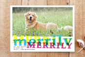 "Merrily and Bright" - Stationery in CMYK by Shannon - Front