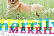 "Merrily and Bright" - Stationery in CMYK by Shannon - Close-Up