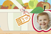 "Baskets of Fun" - Stationery in blue sky by Shannon - Close-Up