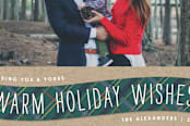 "Plaid Winter Scarf Photo Card" - Stationery in Teal by Amber Barkley - Close-Up