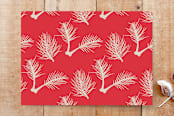"Splendid" - Stationery in Snow by Design Lotus - Back of Card