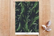 "Peace Branch" - Stationery in Midnight Blue by Tatiana Nogueiras - Back of Card