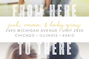 "from here to there" - Moving Announcements in Dandelion by Lehan Veenker - Close-Up