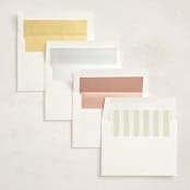 "stripe move" - Moving Announcements in Mint by Sara Hicks Malone - Envelope Liner Options