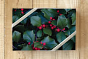 "Nature Celebrating" - Wrapping Paper in jade by Qing Ji - Front