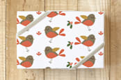 "robin redbreast" - Wrapping Paper in robin red by Stacy Cooke - Front
