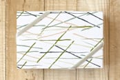 "Woodland Sticks" - Wrapping Paper in Blush by Lisa Samartino Design - Front