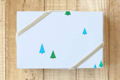 "forest fun" - Wrapping Paper in evergreen by Ellesse Smith - Front