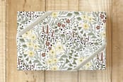 "Fungi Forest" - Wrapping Paper in Sage by Cavell Ferguson - Front