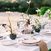 "SET OF 4 - SIREN STEMWARE // CHAMPAGNE COUPE IN CLEAR" - Drinkware in clear by borrowed BLU
