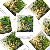 "John James Audubon's "Long-billed Curlew" Postage Stamps | Four Centuries of American Art Series | Vintage Unused USPS Postage 32c | Pack of 10" - Postage Stamps in green by Jennifer Kramer