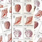 "Seashells Set of 5 Postage Stamps | Vintage Unused USPS Postage | 22c/stamp | $1.10/set of 5 | Pack of 5 Sets (25 Stamps Total)" - Postage Stamps in pink by Jennifer Kramer