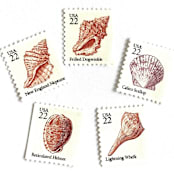 "Seashells Set of 5 Postage Stamps | Vintage Unused USPS Postage | 22c/stamp | $1.10/set of 5 | Pack of 5 Sets (25 Stamps Total)" - Postage Stamps in pink by Jennifer Kramer