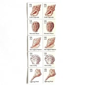 "Seashells Set of 5 Postage Stamps | Vintage Unused USPS Postage | 22c/stamp | $1.10/set of 5 | Pack of 5 Sets (25 Stamps Total)" - Postage Stamps in pink by Jennifer Kramer