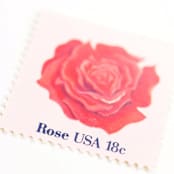 "18 Cent Red Rose Postage Stamps / Set of 10 // Vintage postage" - Postage Stamps in red by Flourish Fine Writing