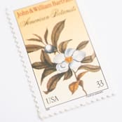 "33 Cent John and William Bartram, American Botanist Stamps // Set of 10 // UNUSED Vintage Stamps" - Postage Stamps in yellow by Flourish Fine Writing