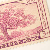"3 Cent Charter Oak // Set of  10 // UNUSED vintage postage stamps" - Postage Stamps in pink by Flourish Fine Writing