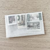 "$1.04 cents . Red Camellia Holiday Postage Stamps . Set of 5" - Postage Stamps in red by Kristen Melchor