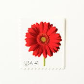 "41 Cent Red Gerbera Daisy Postage Stamps // Set of 10 // UNUSED Vintage Postage" - Postage Stamps in red by Flourish Fine Writing