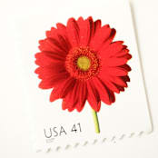 "41 Cent Red Gerbera Daisy Postage Stamps // Set of 10 // UNUSED Vintage Postage" - Postage Stamps in red by Flourish Fine Writing