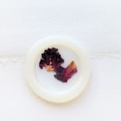 "Smell the Roses- Vellum- Customizable Shape- Set of 25  Hand-crafted Wax Seals with Organic Dried Florals" - Wax Seals in clear by Inkspiringletters