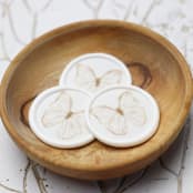 "Gold Butterfly Wax Seals | Set of 25" - Wax Seals in gold by Clove and Cedar Design