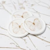 "Gold Butterfly Wax Seals | Set of 25" - Wax Seals in gold by Clove and Cedar Design