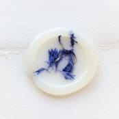 "Something Blue- Vellum- Customizable Shape- Set of 25  Hand-crafted Wax Seals with Organic Dried Florals" - Wax Seals in clear by Inkspiringletters