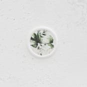 "Green Monstera Leaf Vellum Wax Seals | Set of 25" - Wax Seals in green by Clove and Cedar Design