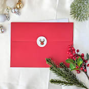 "Rudolph - Set of 25 Hand-crafted Wax Seals" - Wax Seals in white by Inkspiringletters