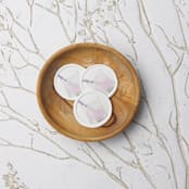 "Pink Drink Wax Seals | Set of 25" - Wax Seals in pink by Clove and Cedar Design