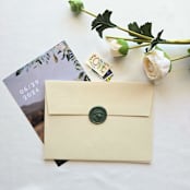 "Citrus Tree- Customizable Color- Set of 25 Hand-crafted Wax Seals" - Wax Seals in multicolor by Inkspiringletters