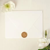 "Blueberries- Customizable Color- Set of 25  Hand-crafted Wax Seals" - Wax Seals in multicolor by Inkspiringletters