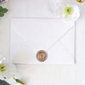 "Vinyl Records- Customizable Color- Set of 25 Hand-crafted Wax Seals" - Wax Seals in multicolor by Inkspiringletters