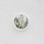 "Cactus Wax Seals | Set of 25" - Wax Seals in green by Clove and Cedar Design