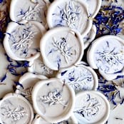 "Dried Cornflower Wax Seal Stickers Pack of 10" - Wax Seals in white by Eva Tadros