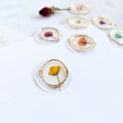 "Fine Art Gilded Framed Dried Organic Mini Roses-  Set of 7 Wax Seals" - Wax Seals in multicolorassorted-colors by Inkspiringletters